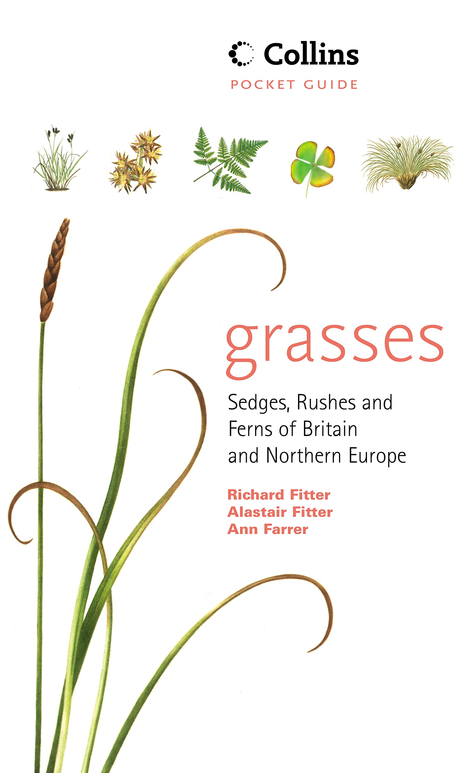 Grasses, Sedges, Rushes and Ferns of Britain and Northern Europe (Collins Pocket Guide) Mathematics