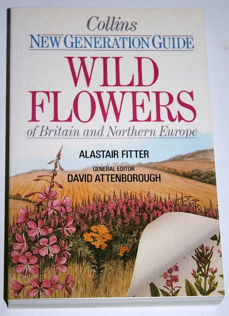 Wild Flowers of Britain and North West Europe (New Generation Guides) Mathematics