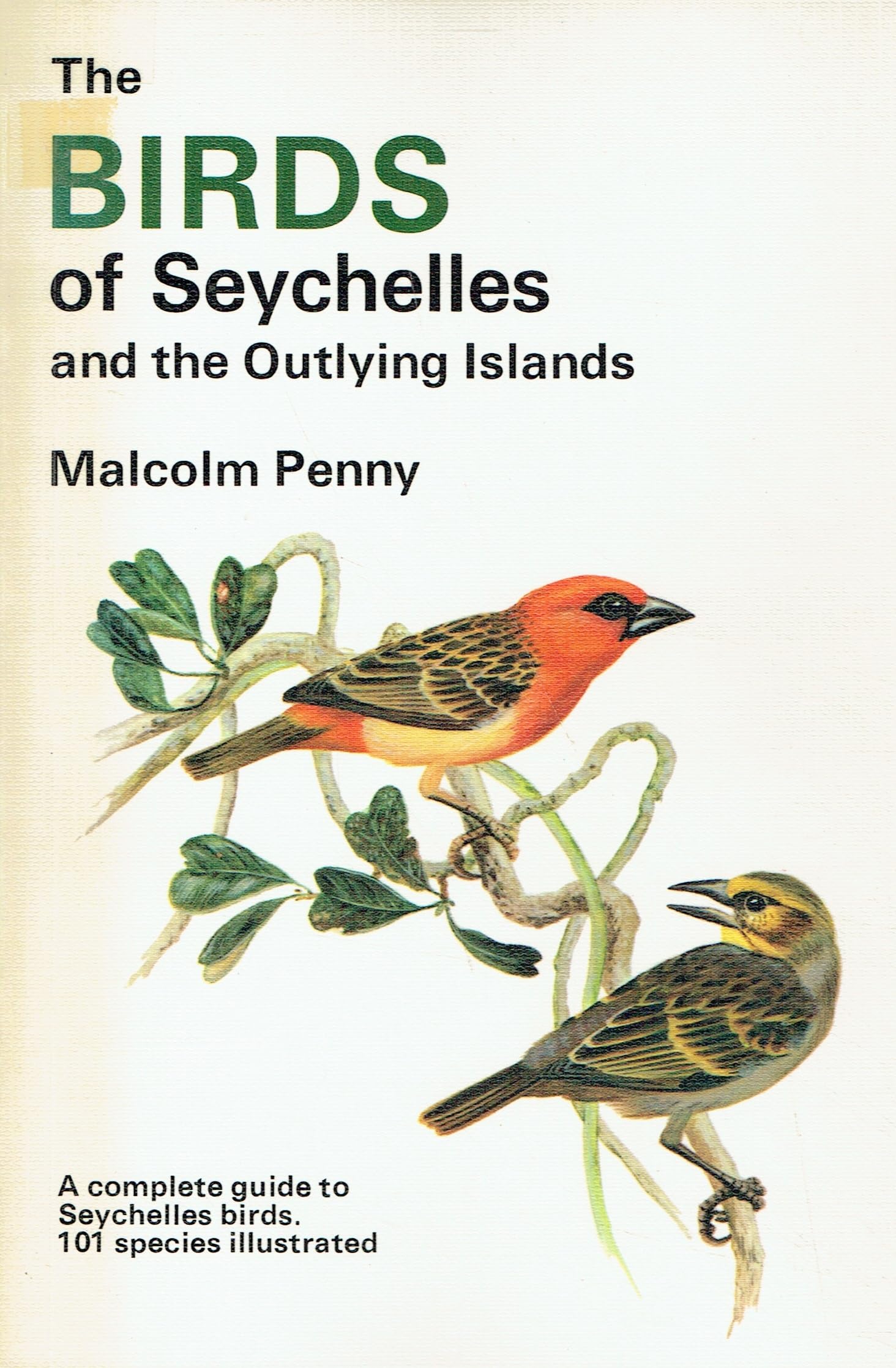 Birds of the Seychelles and the Outlying Islands (Collins Pocket Guide) Mathematics