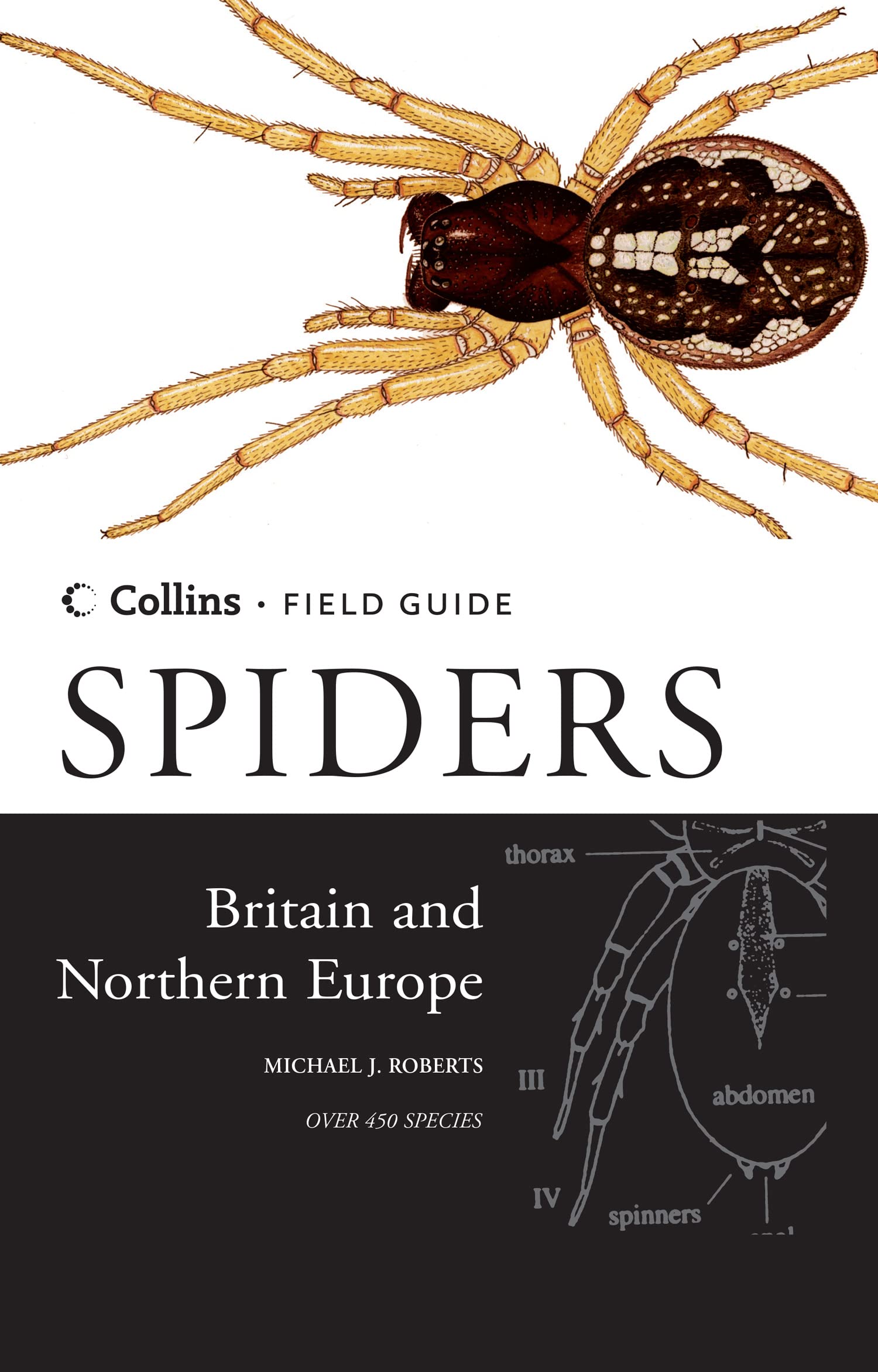Spiders of Britain and Northern Europe (Collins Field Guide) Leisure, Home & Garden