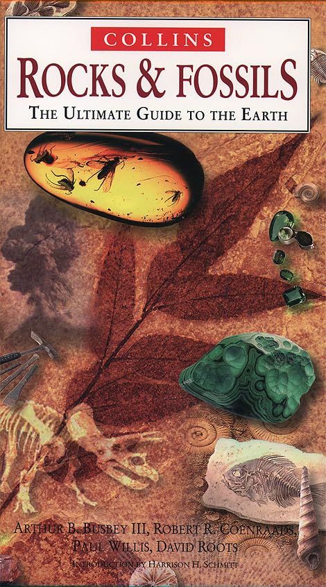 Rocks and Fossils: The Ultimate Guide to the Earth (Nature Company Guides) Mathematics