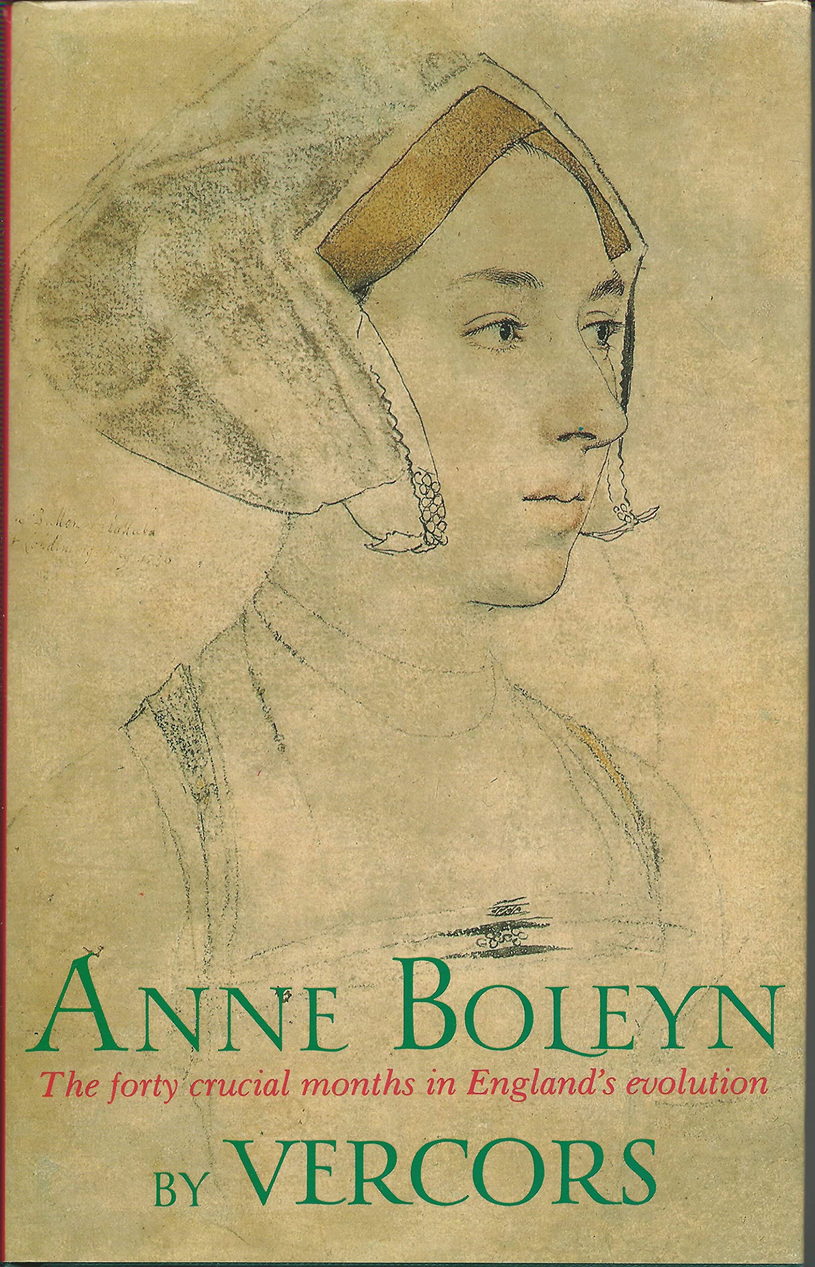 Anne Boleyn: An Idealised Biography book
