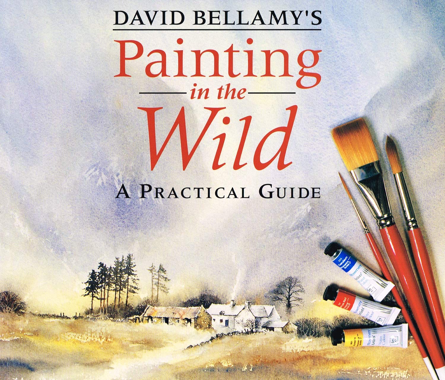 David Bellamy's Painting in the Wild: A Practical Guide Film, Art & Culture