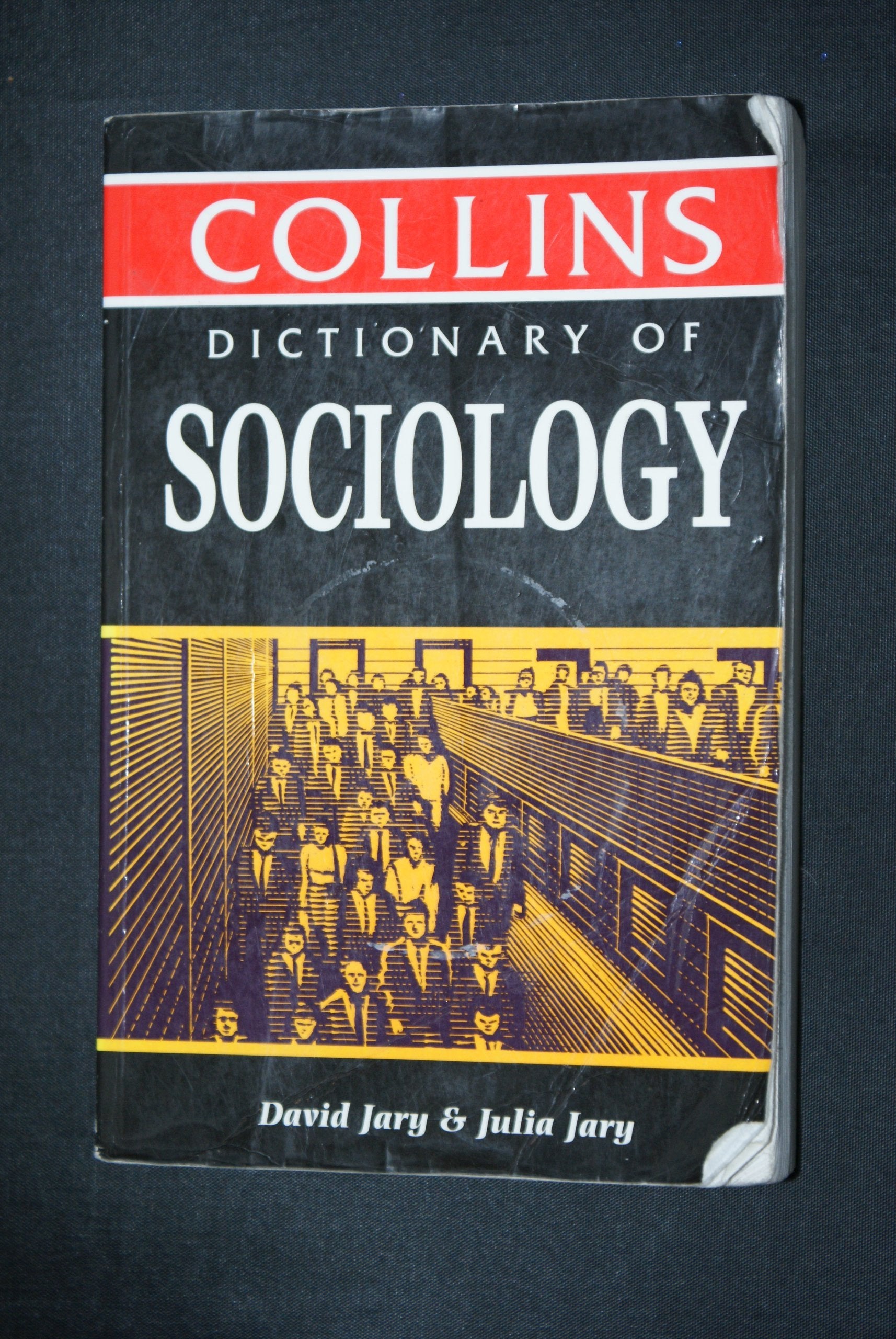 Collins Dictionary of Sociology Books