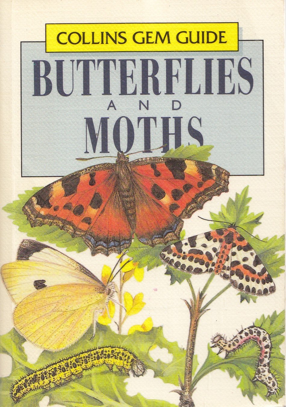 Gem Guide to Butterflies and Moths (Collins Gem Guides) Mathematics