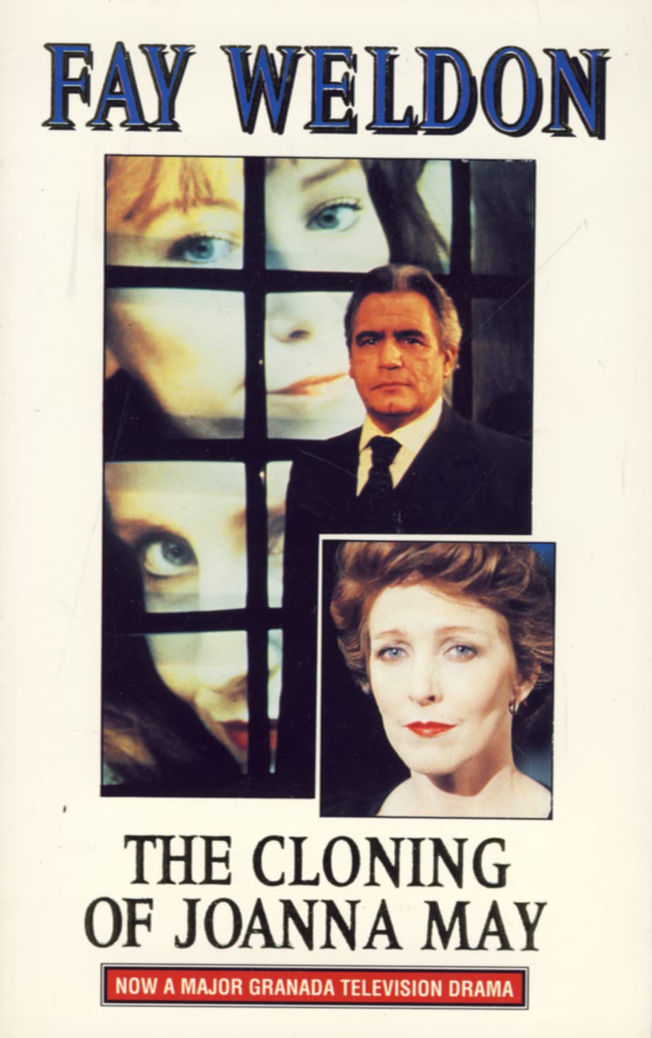 The Cloning of Joanna May Contemporary literature