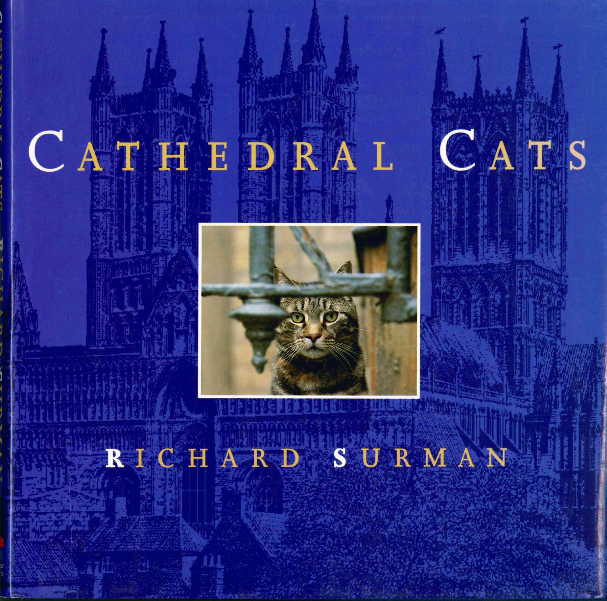 Cathedral Cats Travel Books