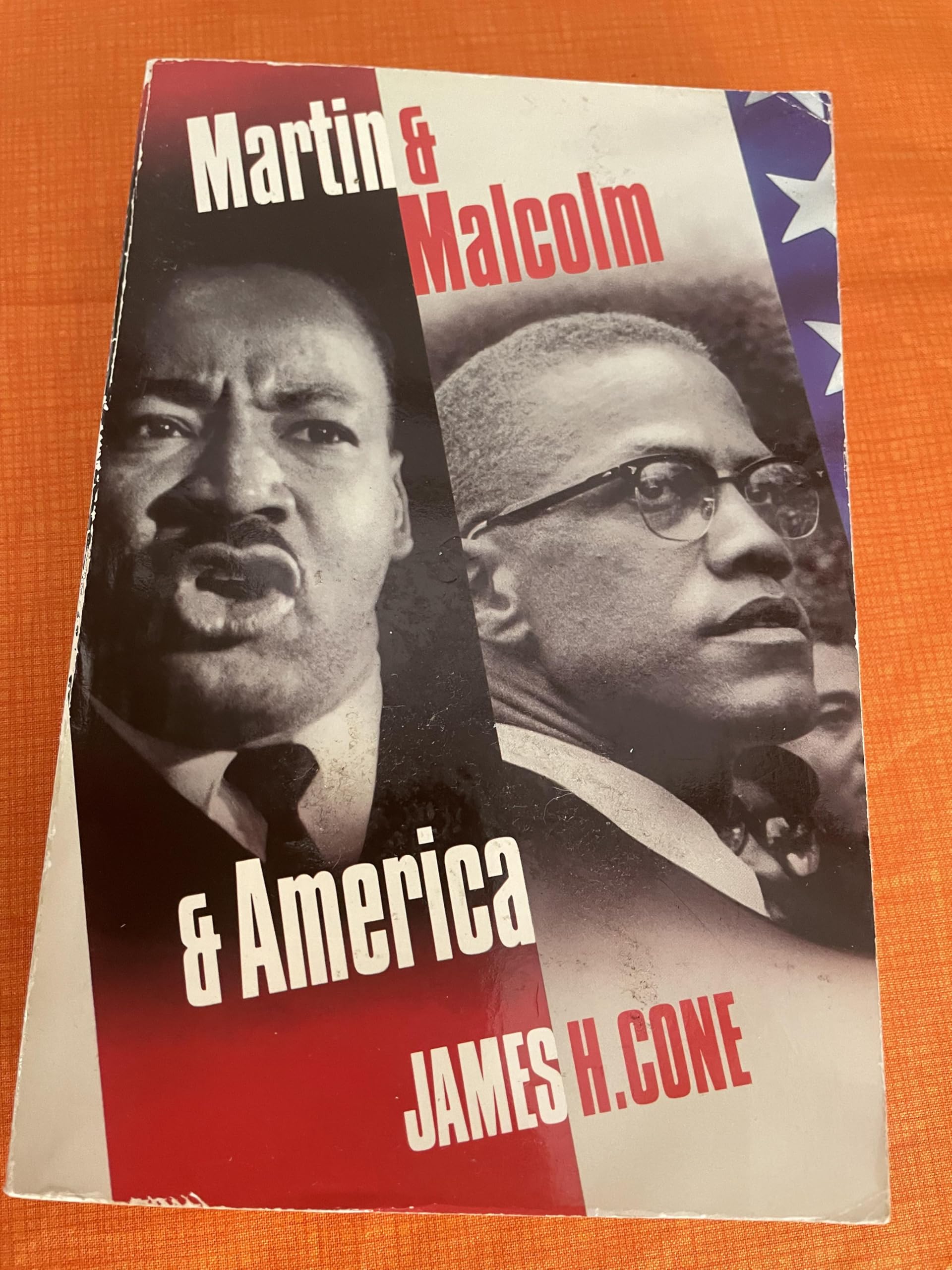 Martin and Malcolm and America: A Dream or a Nightmare? Books
