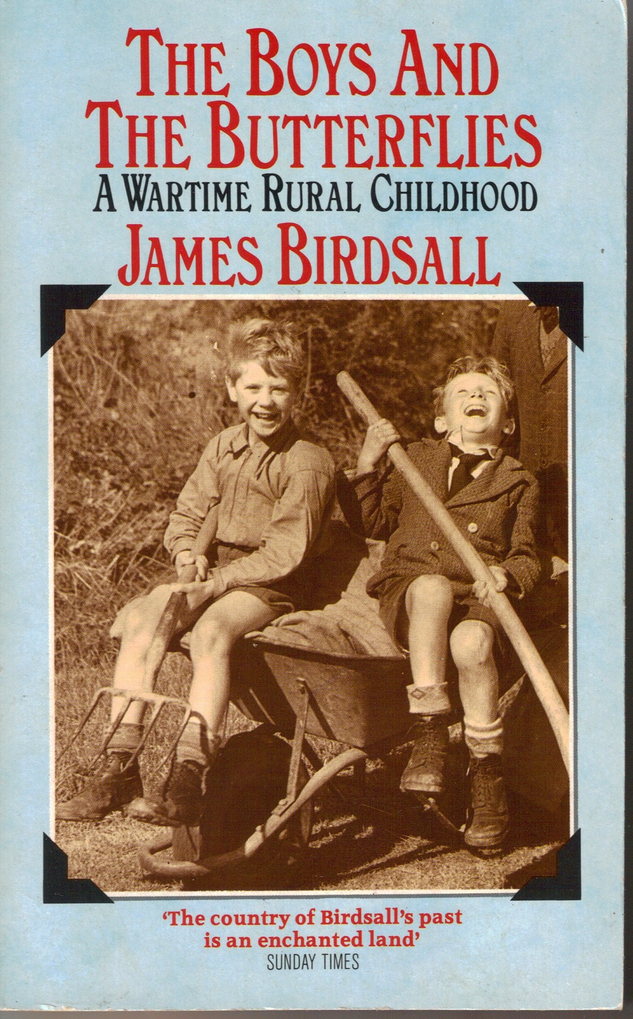 The Boys and the Butterflies book