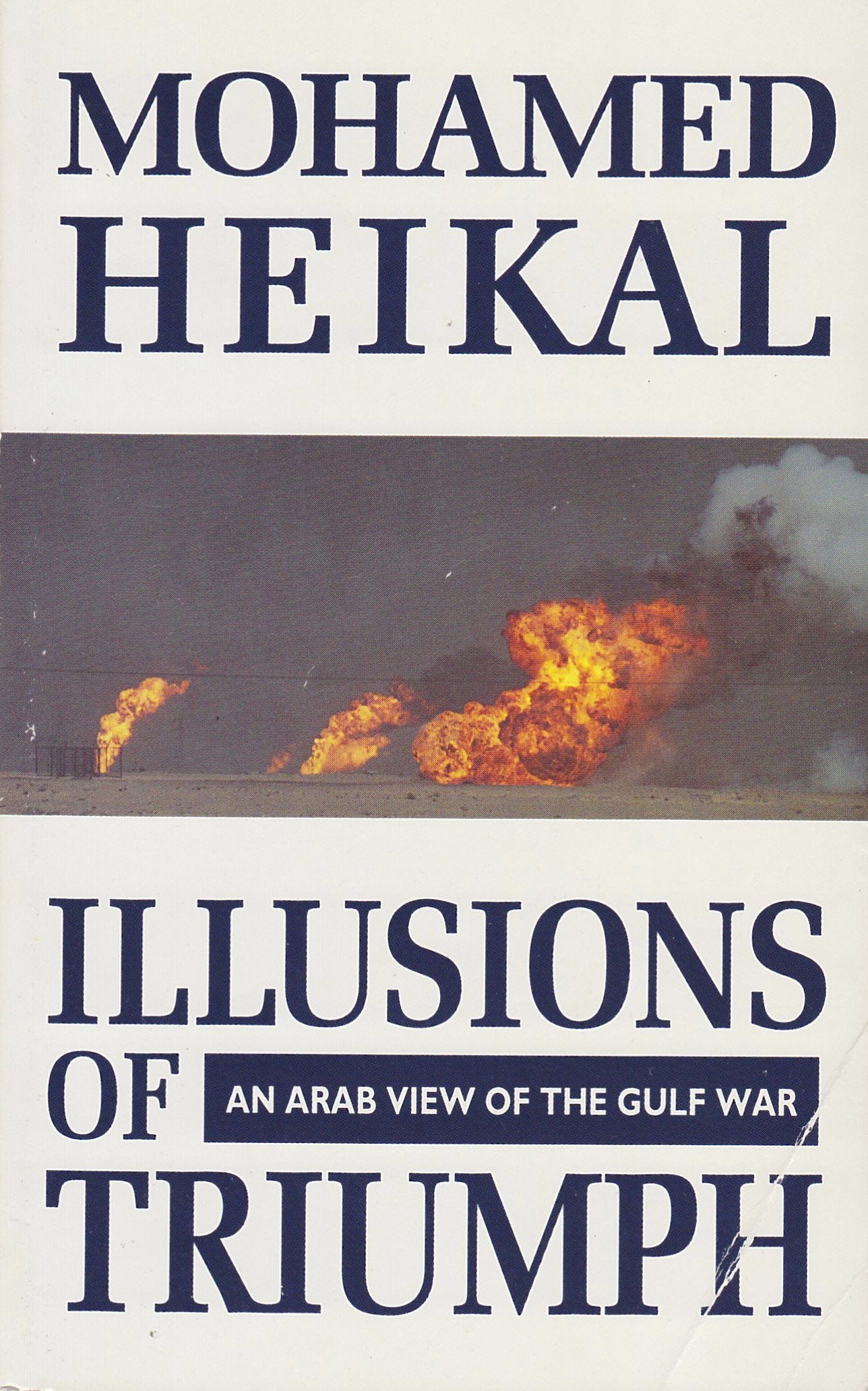 Illusions of Triumph book