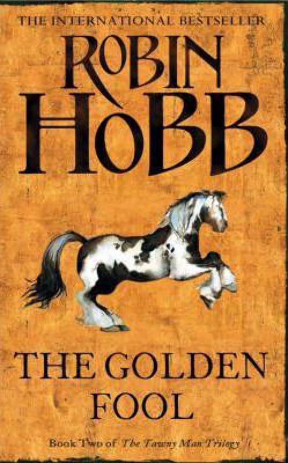 The Golden Fool (The Tawny Man Trilogy, Band 2) Contemporary literature