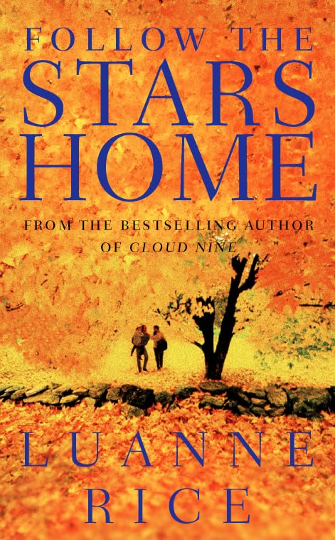Follow the Stars Home Contemporary literature