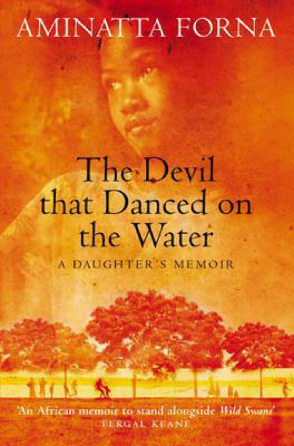 Product Image: The Devil That Danced on the Water