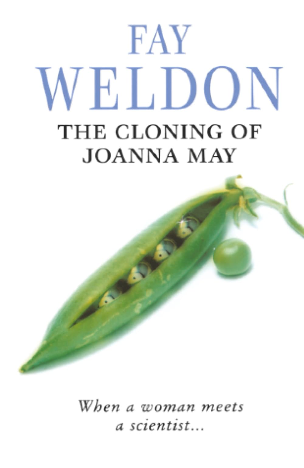 The Cloning of Joanna May Contemporary literature