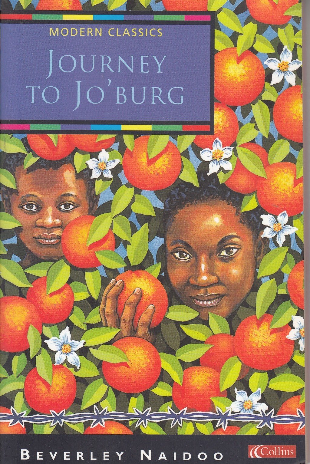 Journey to Jo’Burg (Collins Modern Classics) Non-fiction