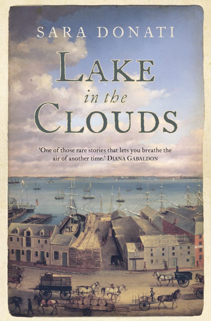 Lake in the Clouds (Wilderness, Band 3) Contemporary literature