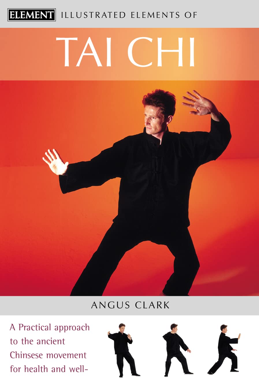 Tai Chi: A practical approach to the ancient Chinese movement for health and well-being (The Illustrated Elements of…) Business, Finance & Career