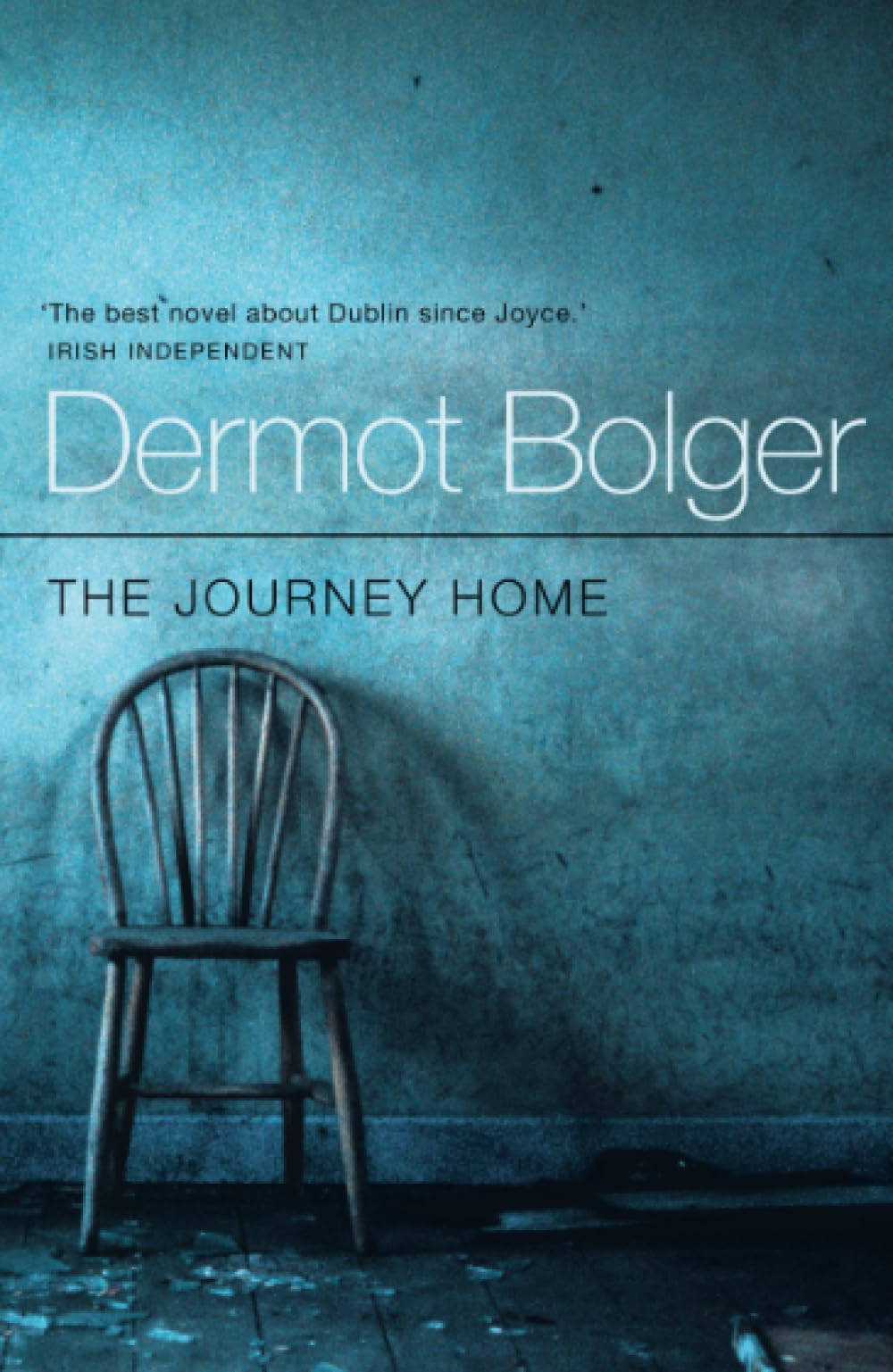 The Journey Home Contemporary literature