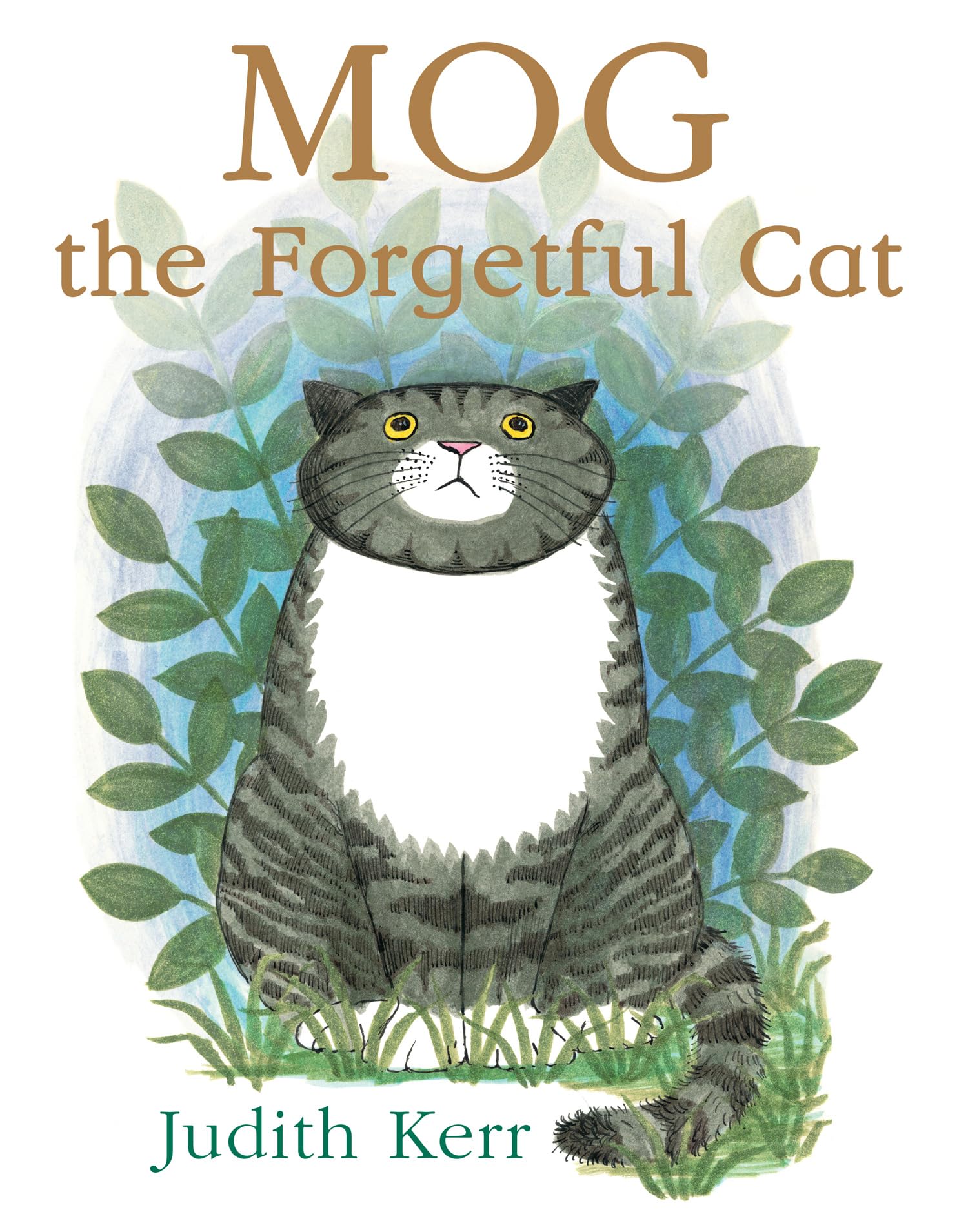 Mog the Forgetful Cat Non-fiction books for kids