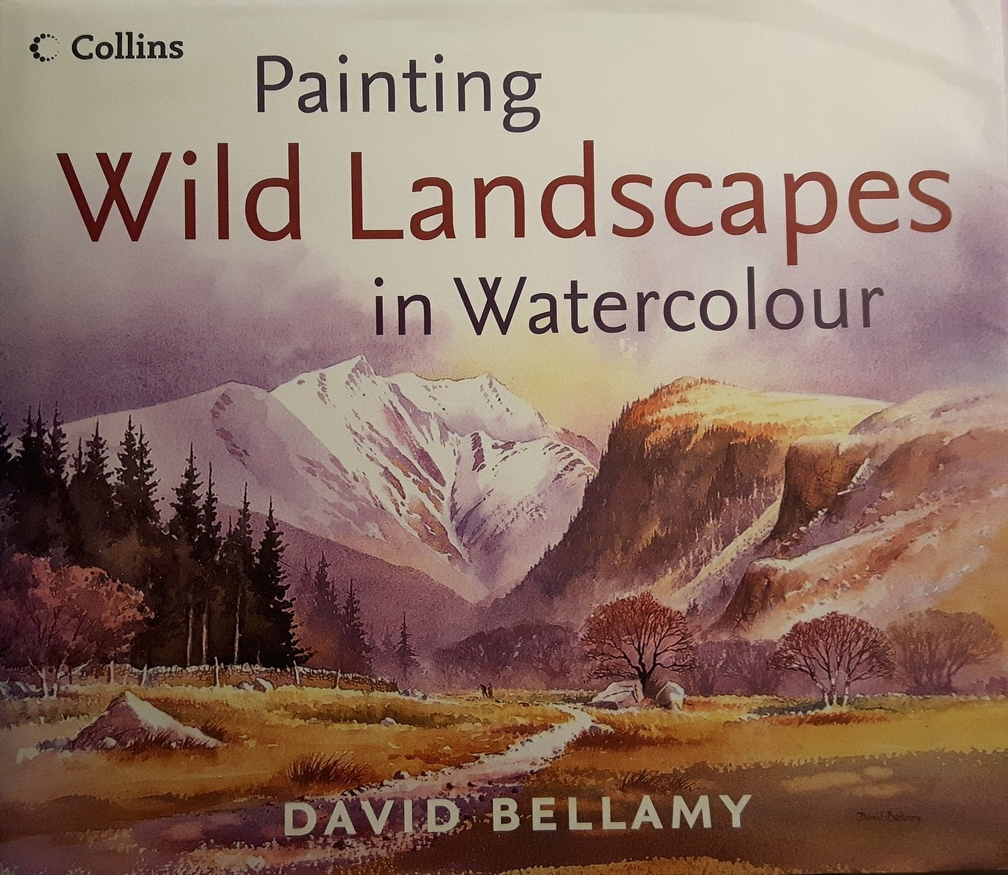 Painting Wild Landscapes in Watercolour Film, Art & Culture