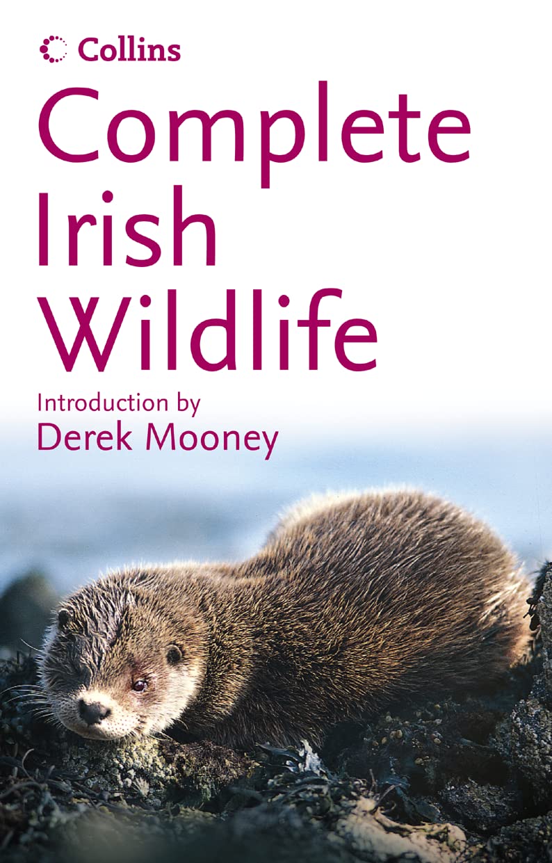 Collins Complete Irish Wildlife: Photoguide Mathematics