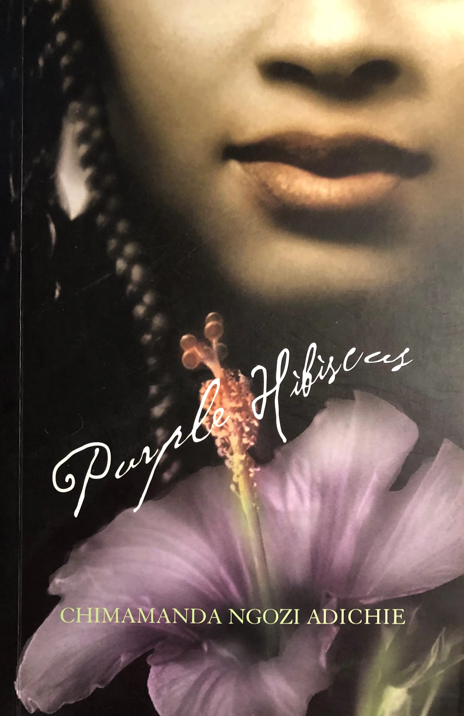 Purple Hibiscus Contemporary literature