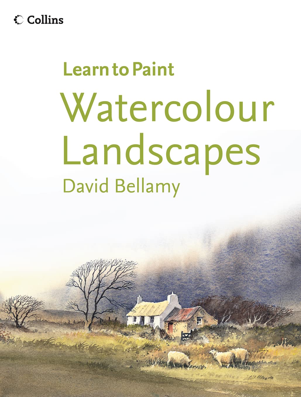 Watercolour Landscapes (Collins Learn to Paint Series) Social Sciences