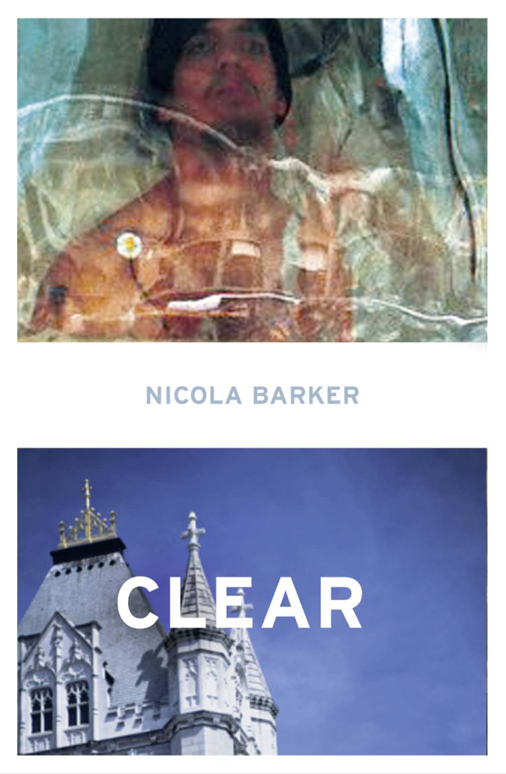 Clear: A Transparent Novel. Nicola Barker Essays & Short Stories