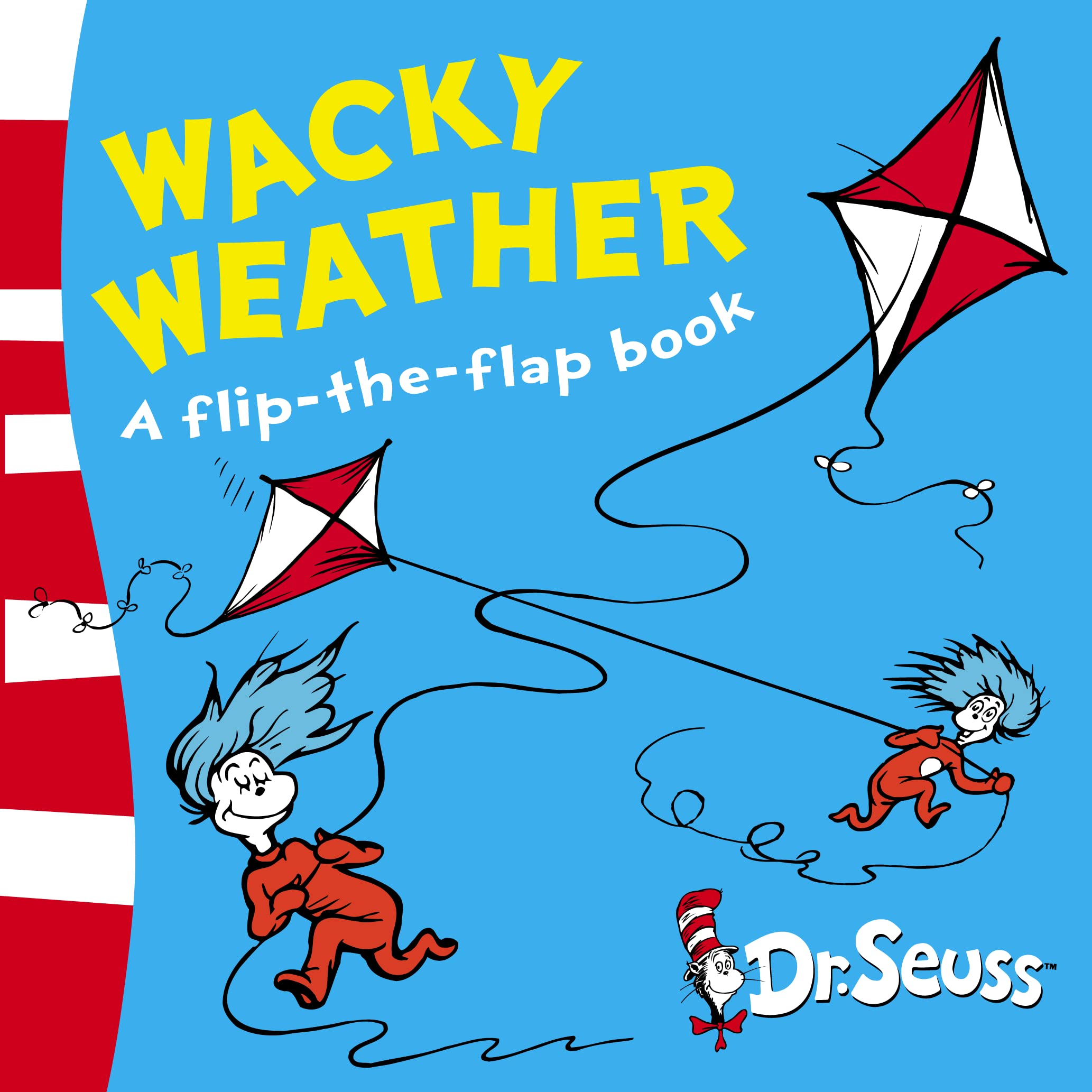 Wacky Weather: A Lift-the-Flap Book book
