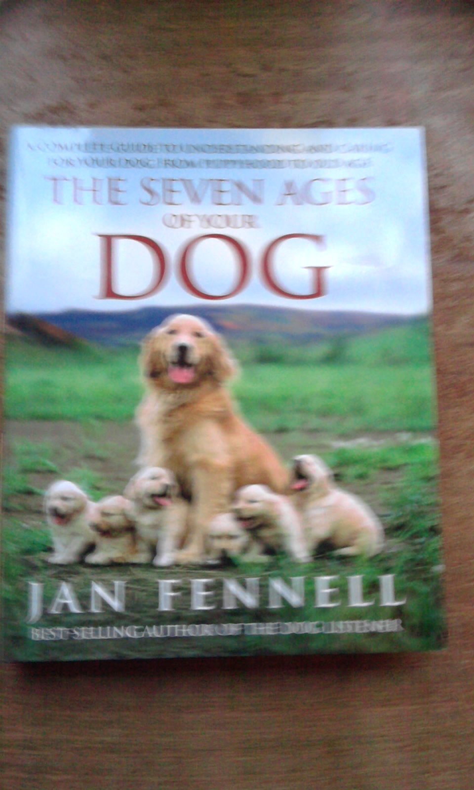 The Seven Ages of Your Dog Pets