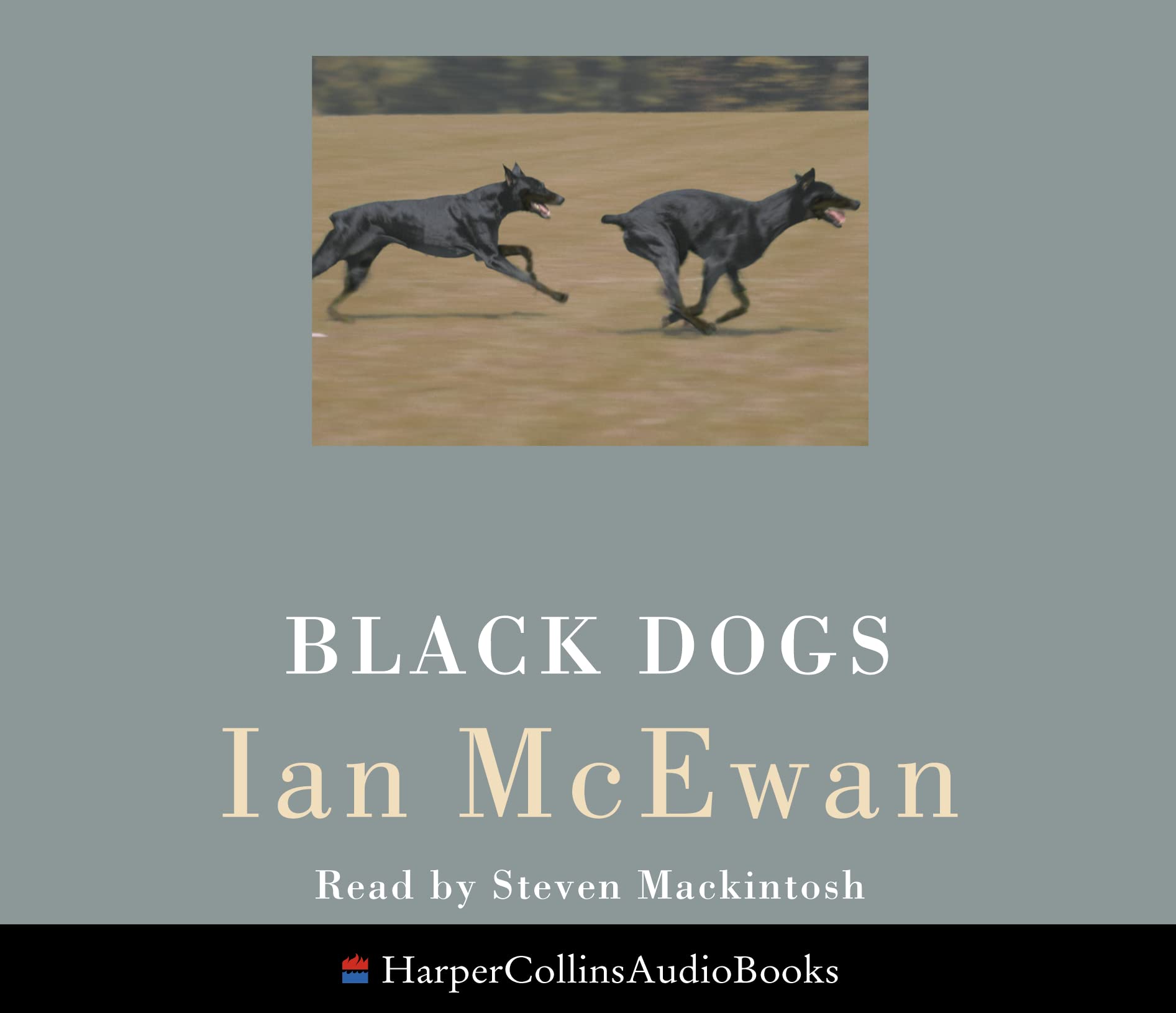 Product Image: Black Dogs