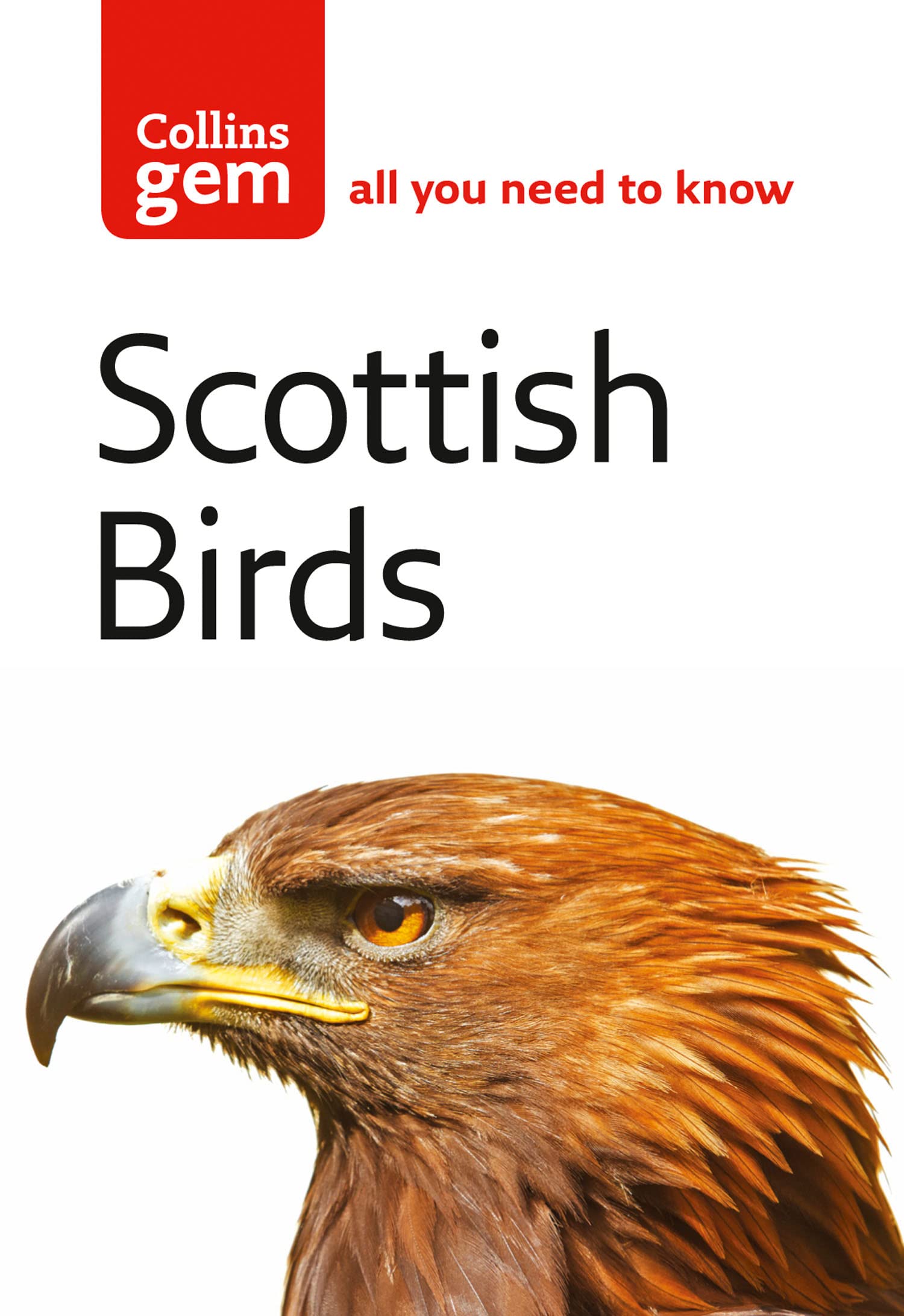 Scottish Birds Mathematics Books