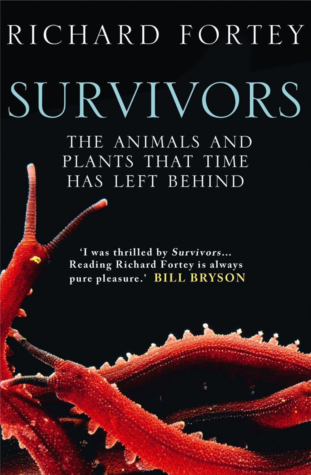 Survivors Mathematics Books