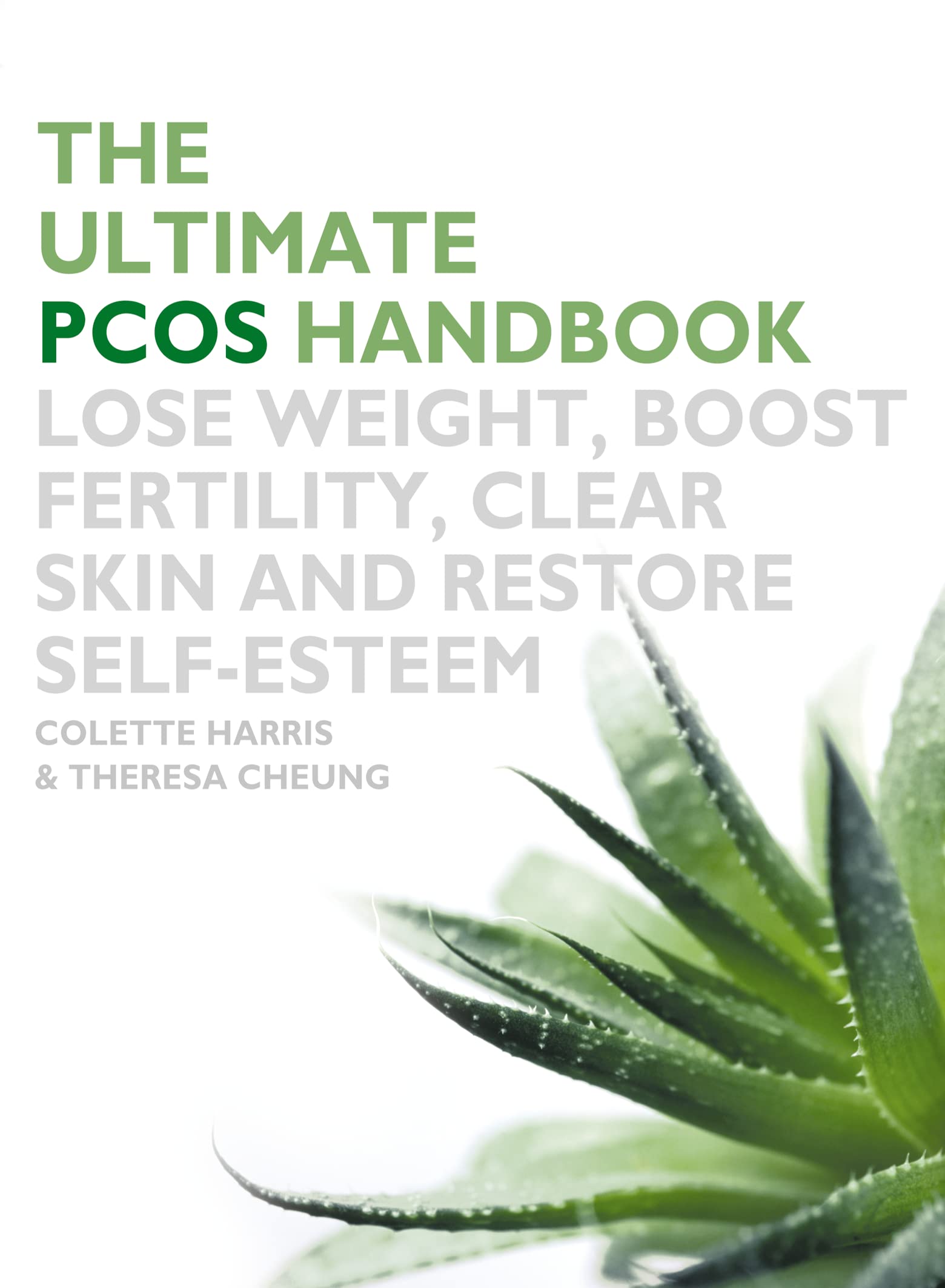 The Ultimate Pcos Handbook: Lose Weight, Boost Fertility, Clear Skin and Restore Self-Esteem Medicine