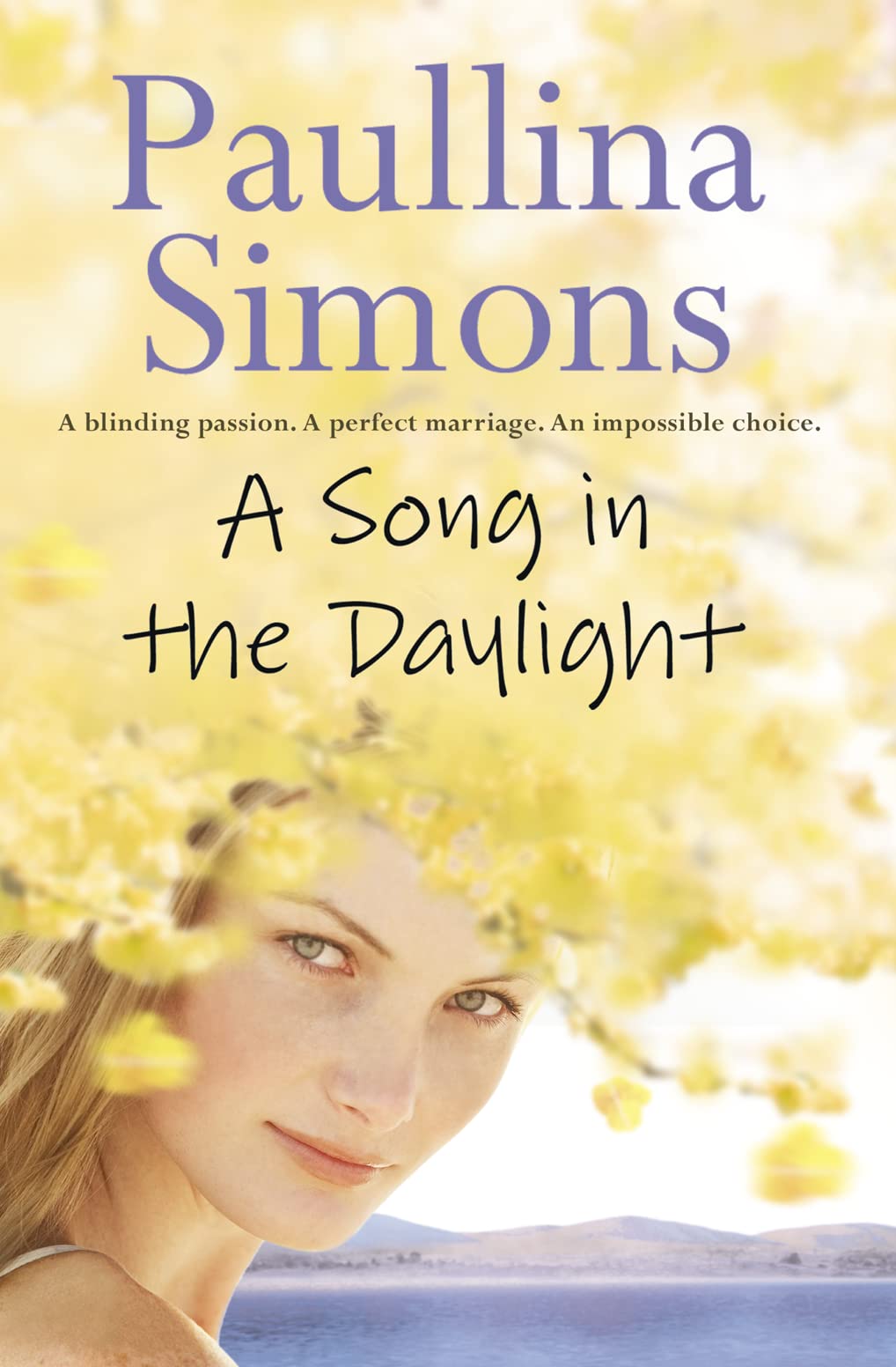 A Song in the Daylight: A Gripping Contemporary Novel of Forbidden Passion and Family Secrets Contemporary literature Books