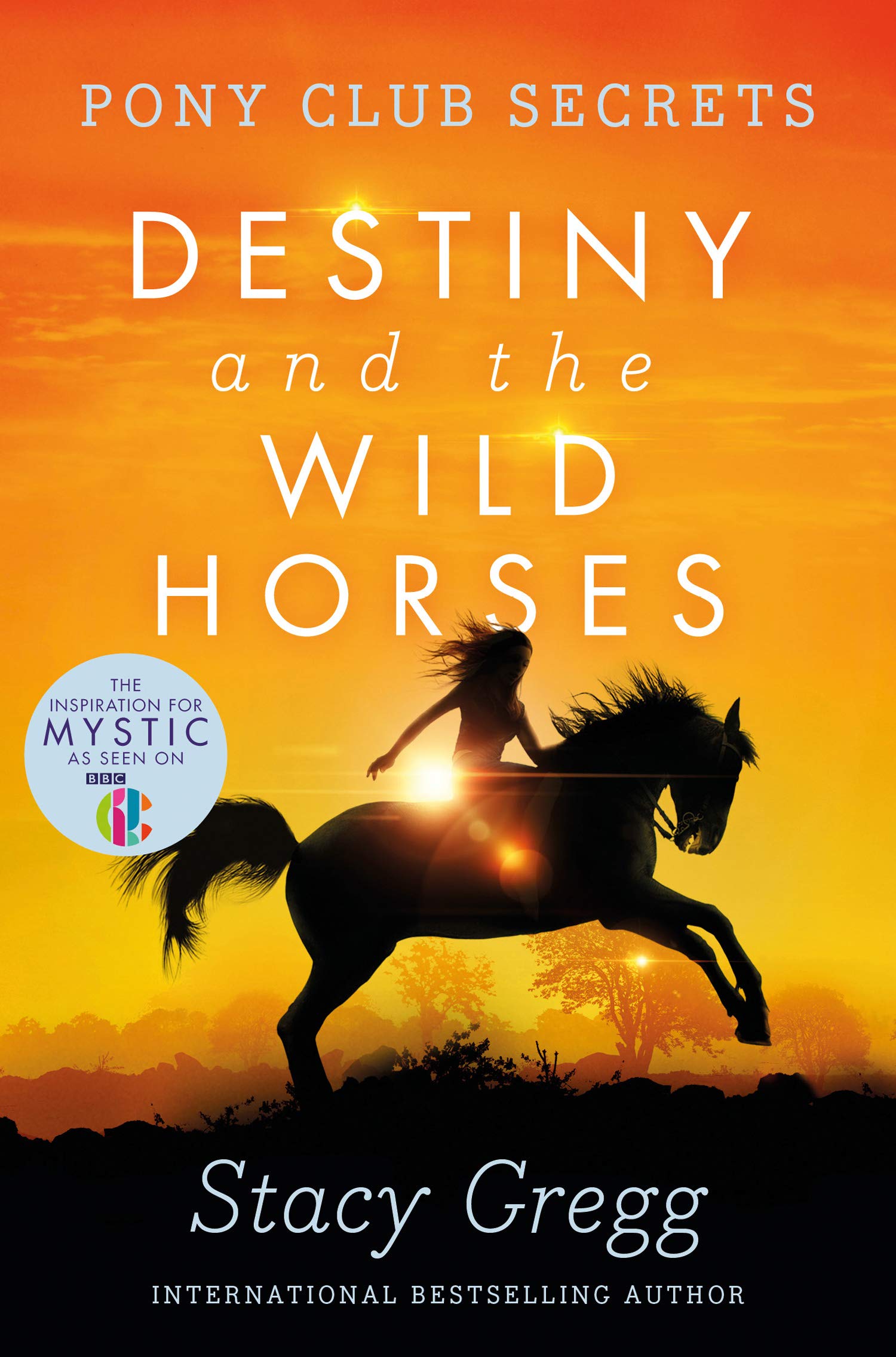 Destiny and the Wild Horses (Pony Club Secrets, Book 3) Leisure & Fun