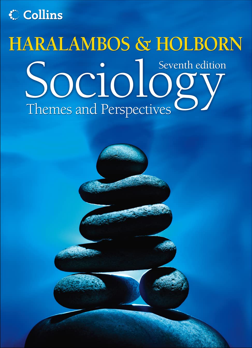 Sociology Themes and Perspectives book
