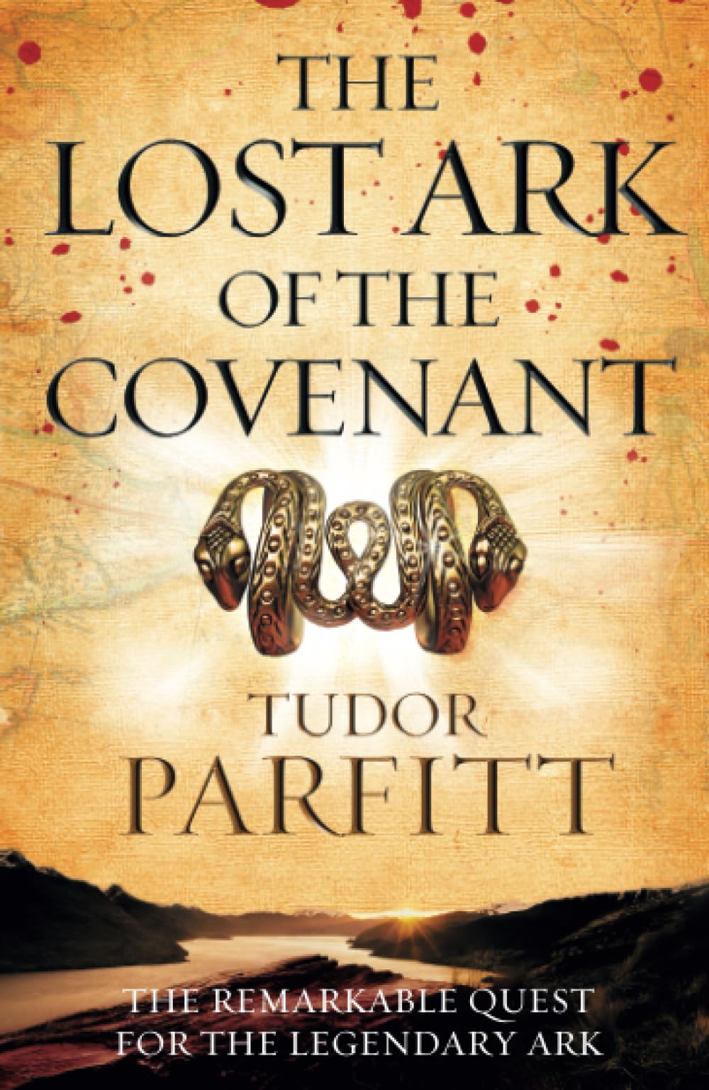 THE LOST ARK OF THE CONVENANT book