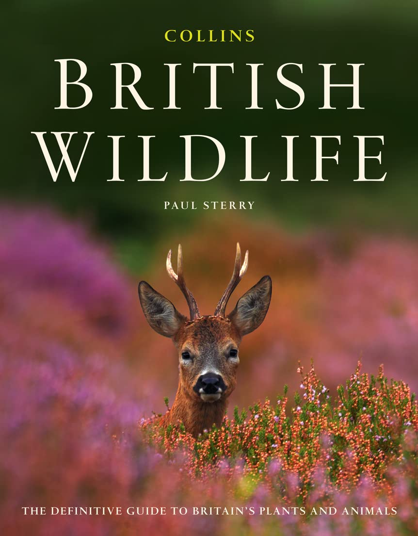 Product Image: Collins British Wildlife
