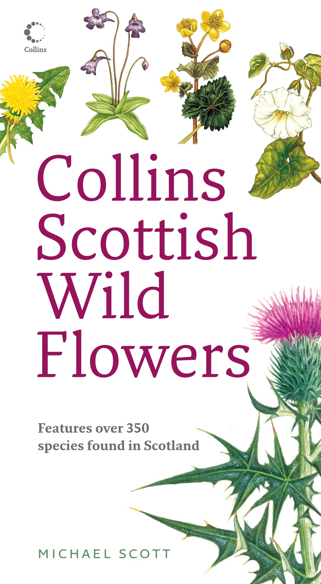 Product Image: Collins Scottish Wild Flowers