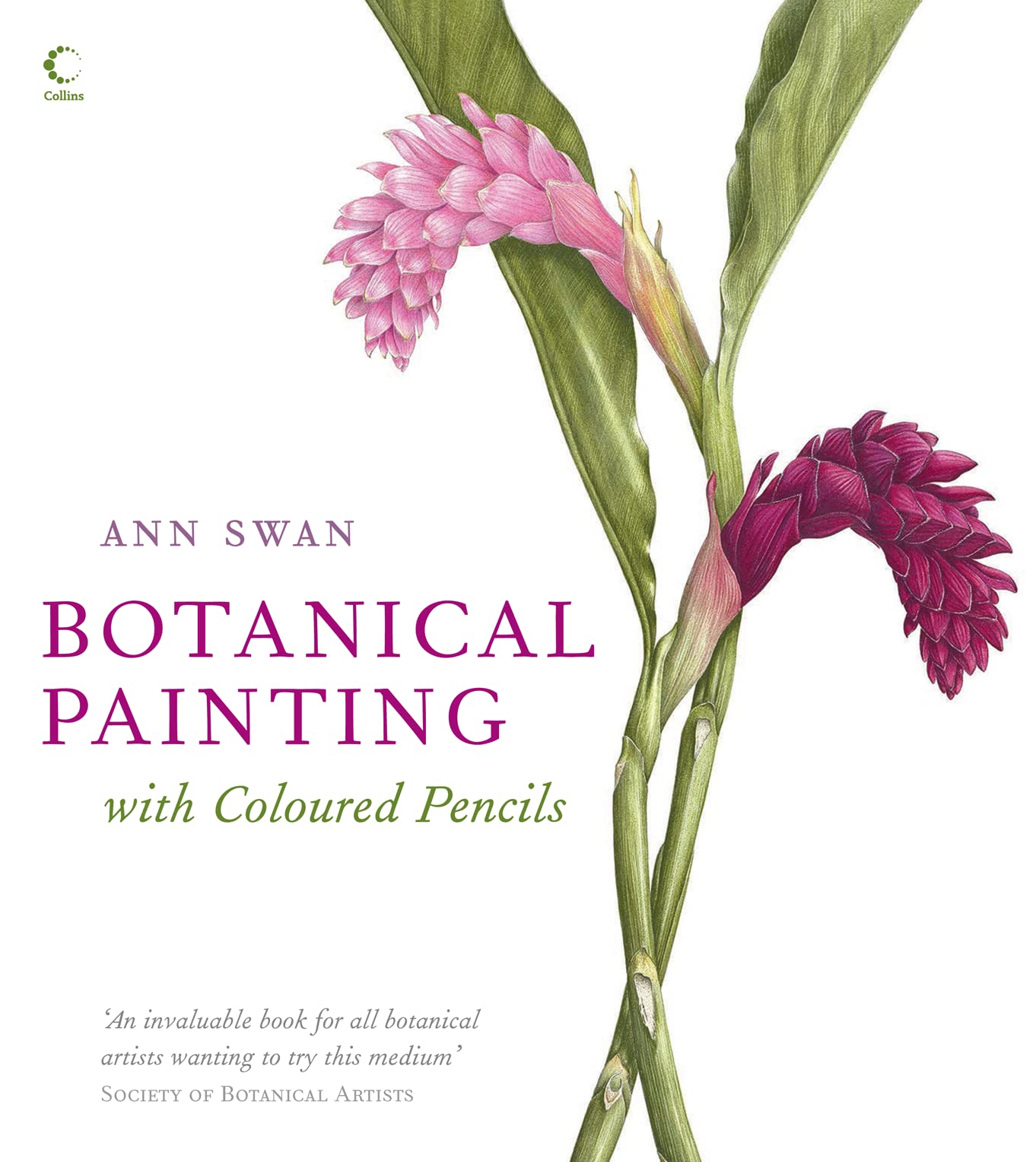 Botanical Painting with Coloured Pencils: The complete art guide to creating stunning illustrations Film, Art & Culture