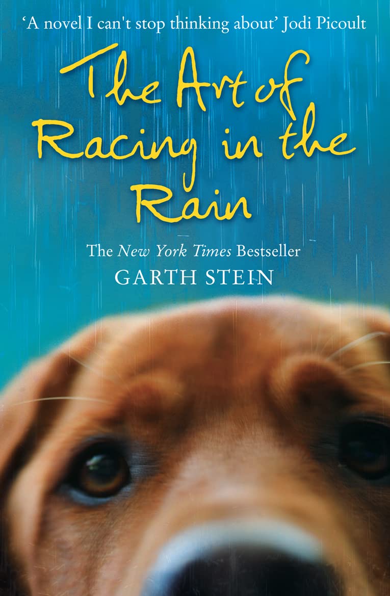 The Art of Racing in the Rain Philosophy