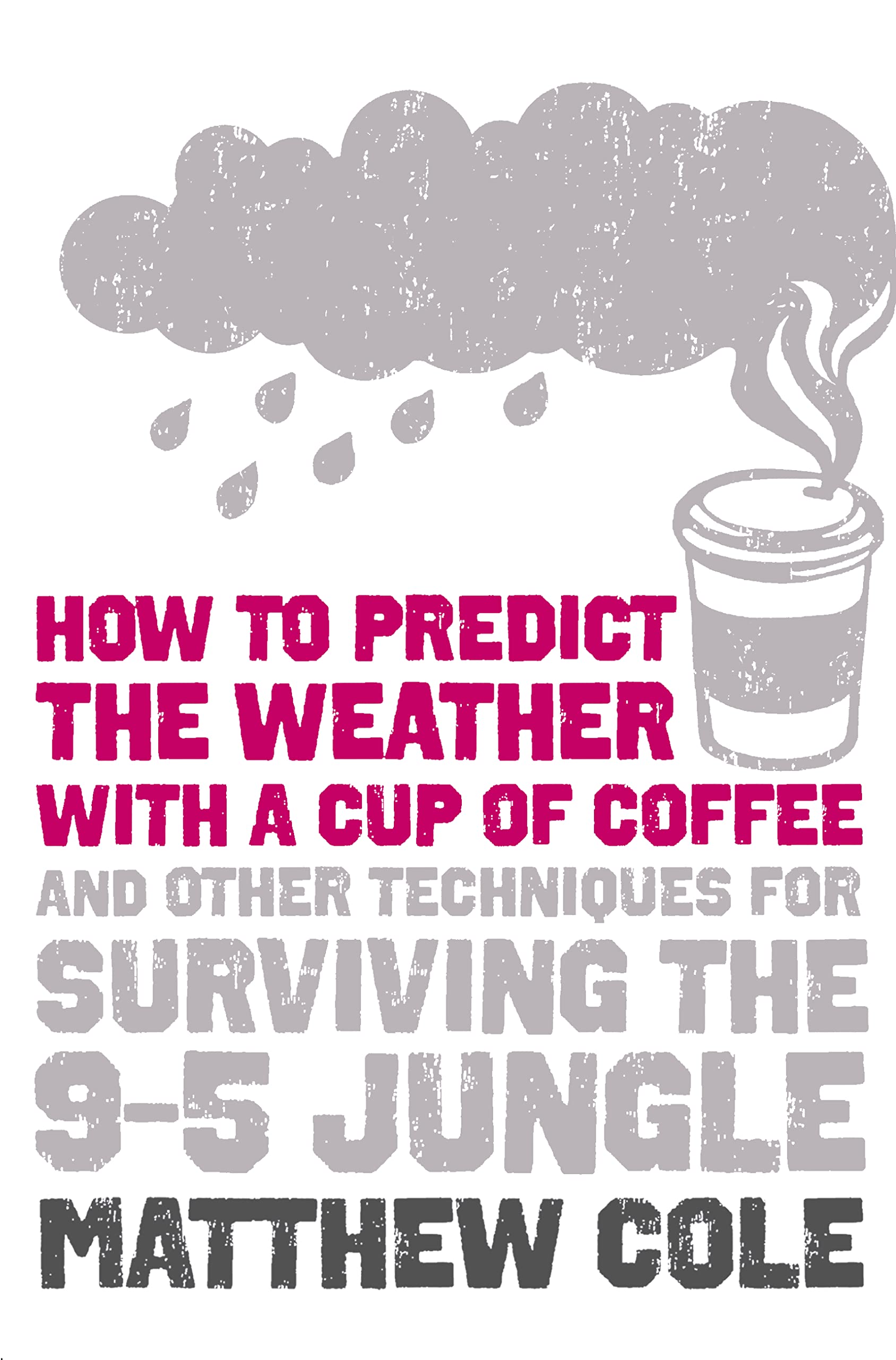 How to Predict the Weather with a Cup of Coffee: and Other Techniques for Surviving the 9-5 Jungle Business & Technology