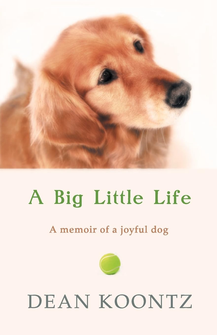 A Big Little Life Personalities Books