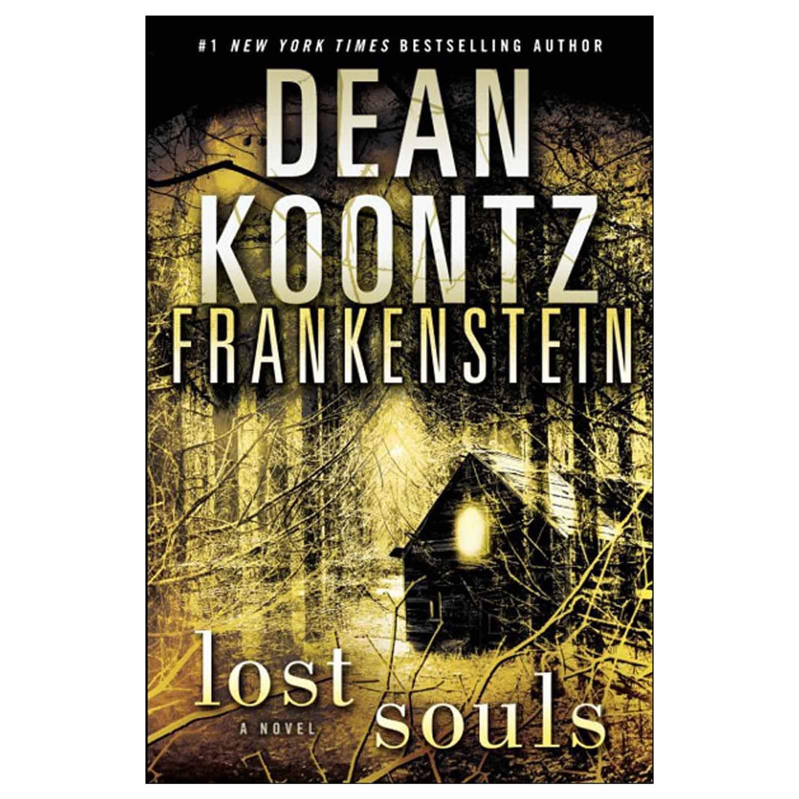 Lost Souls (Dean Koontz’s Frankenstein, Band 4) Contemporary literature