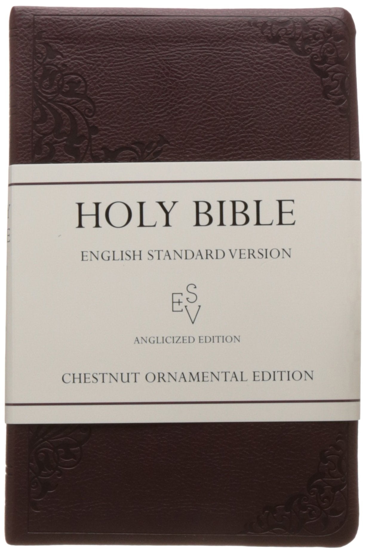 Holy Bible: English Standard Version (ESV) Anglicised Chestnut Ornamental Thinline edition Religion & Esotericism
