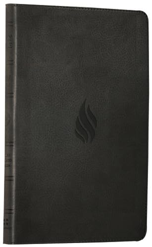 Holy Bible: English Standard Version (ESV) Anglicised Thinline Midnight Flame edition Religion & Esotericism