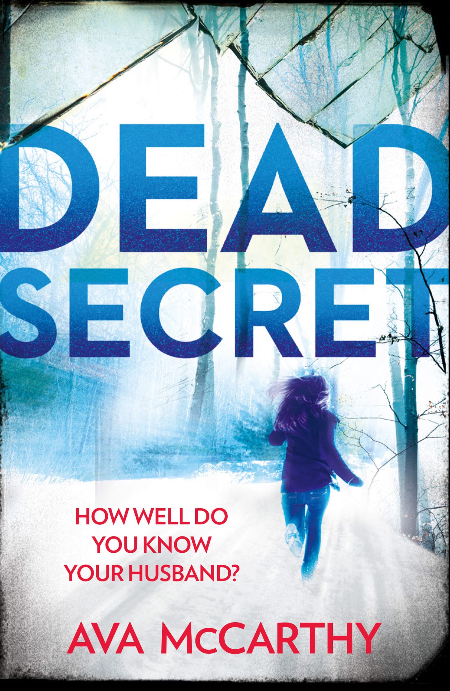 Dead Secret Contemporary literature Books