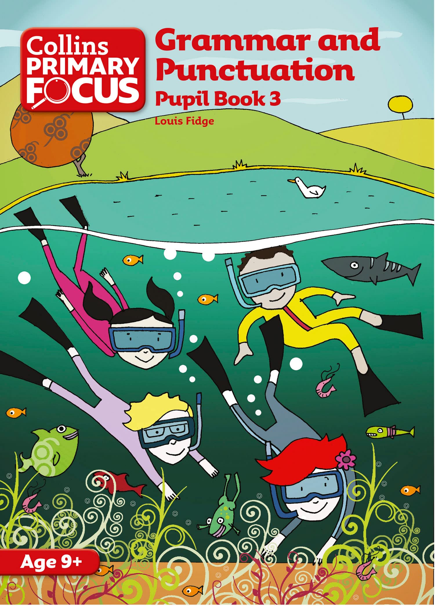 Grammar and Punctuation: Pupil Book 3 (Collins Primary Focus) Study Guides
