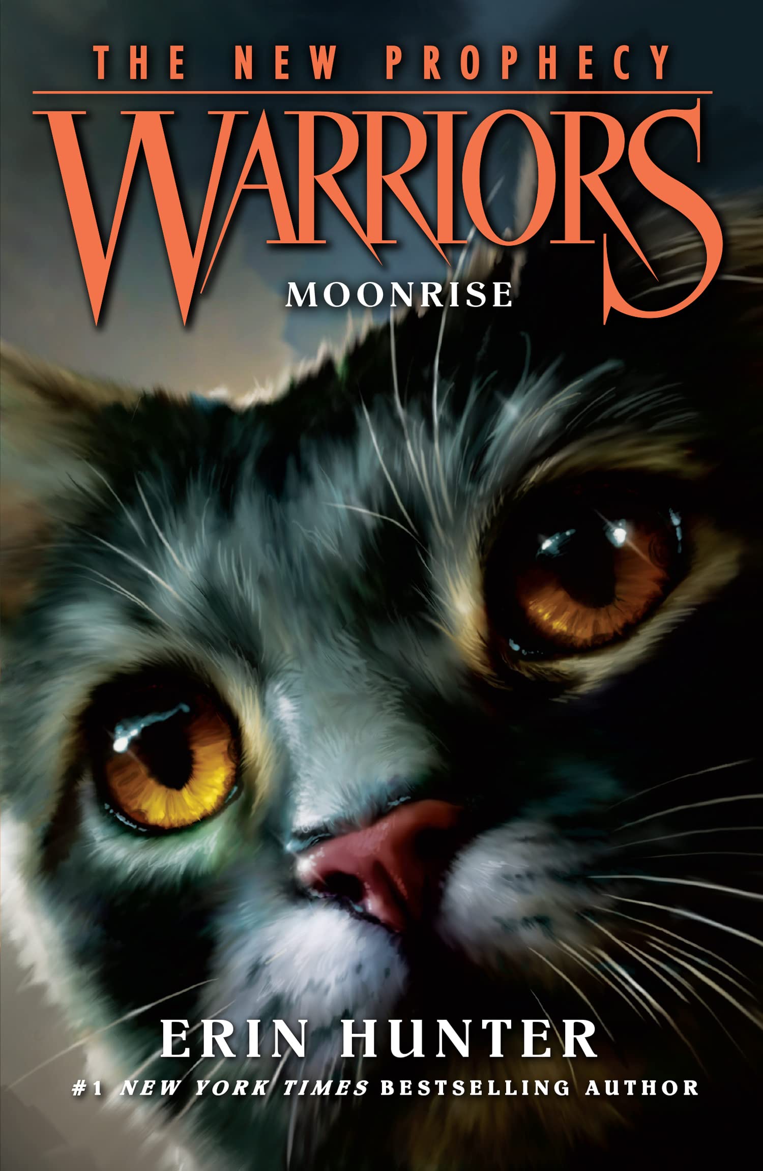 MOONRISE Non-fiction